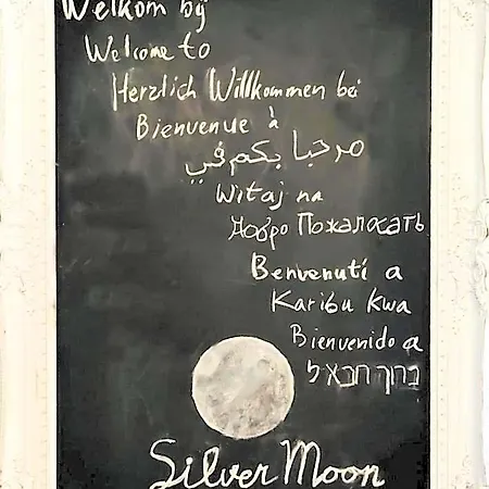 Silver Moon
