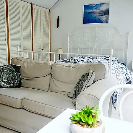 Silver Moon フォールスコーテン