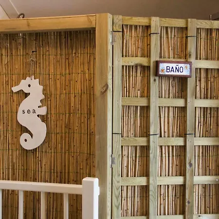 Bed & Breakfast Silver Moon *