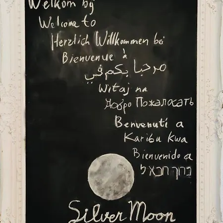 Silver Moon Отель типа 